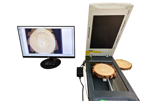 JC-NL01年輪分析系統(tǒng)